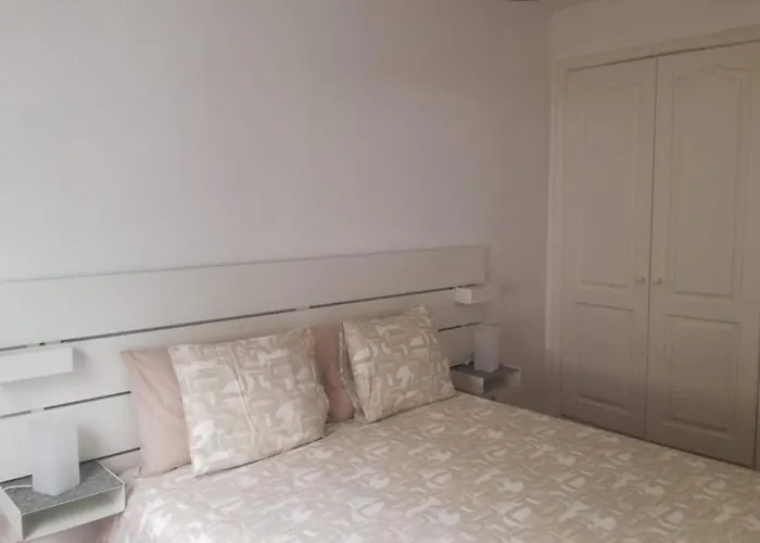 Paradiso Canario Daire