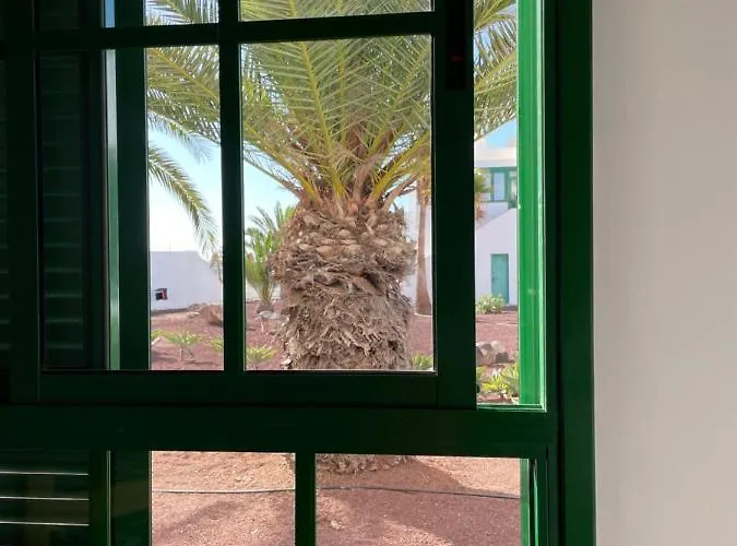 Paradiso Canario Daire *